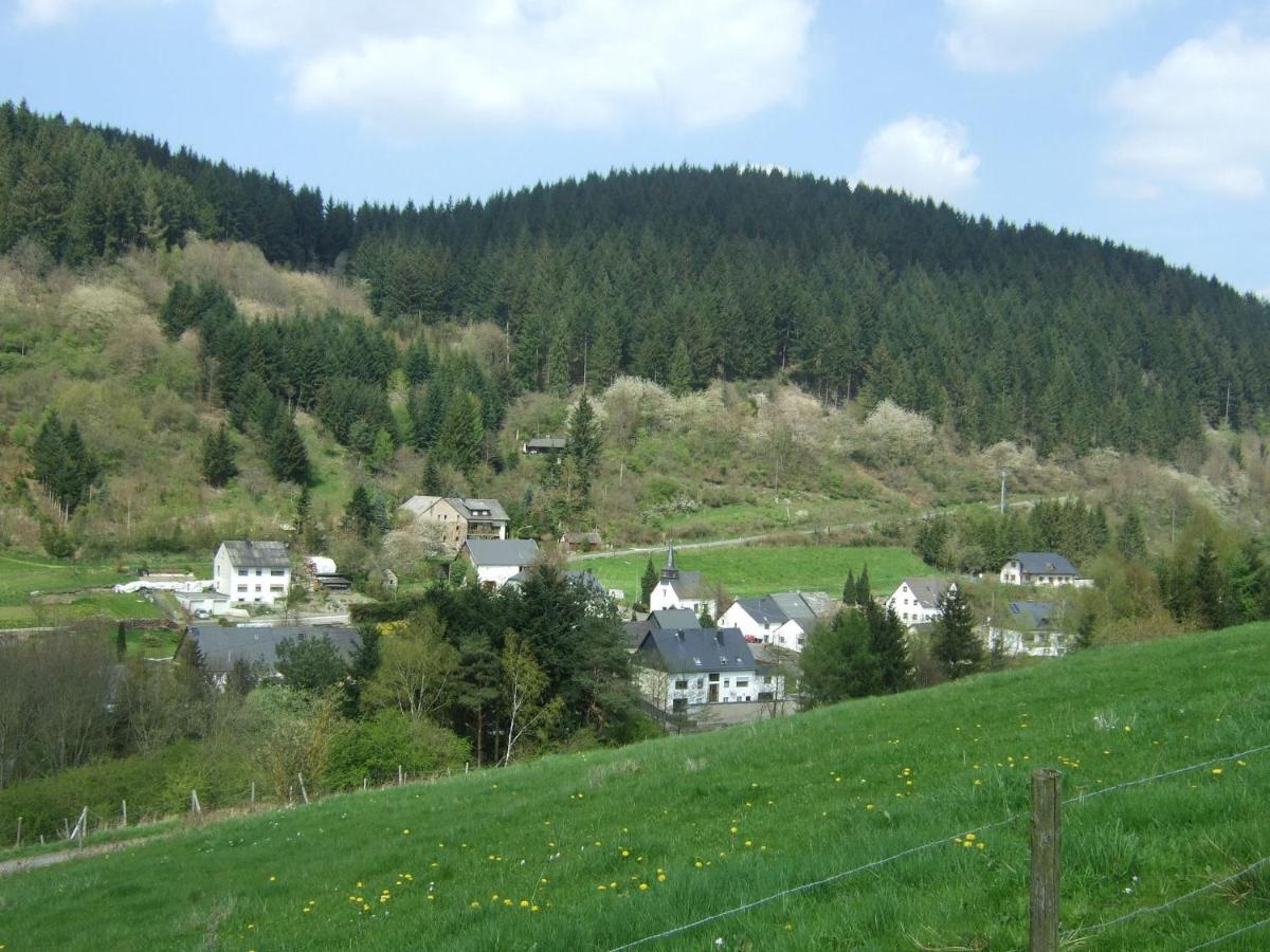 Lavish Apartment In Merschbach Near The Forest Екстериор снимка